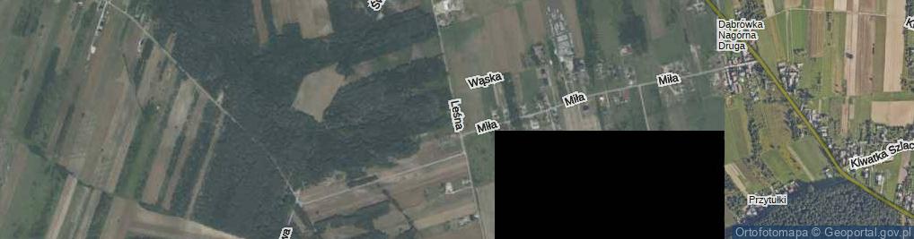 Zdjęcie satelitarne Leśna ul.